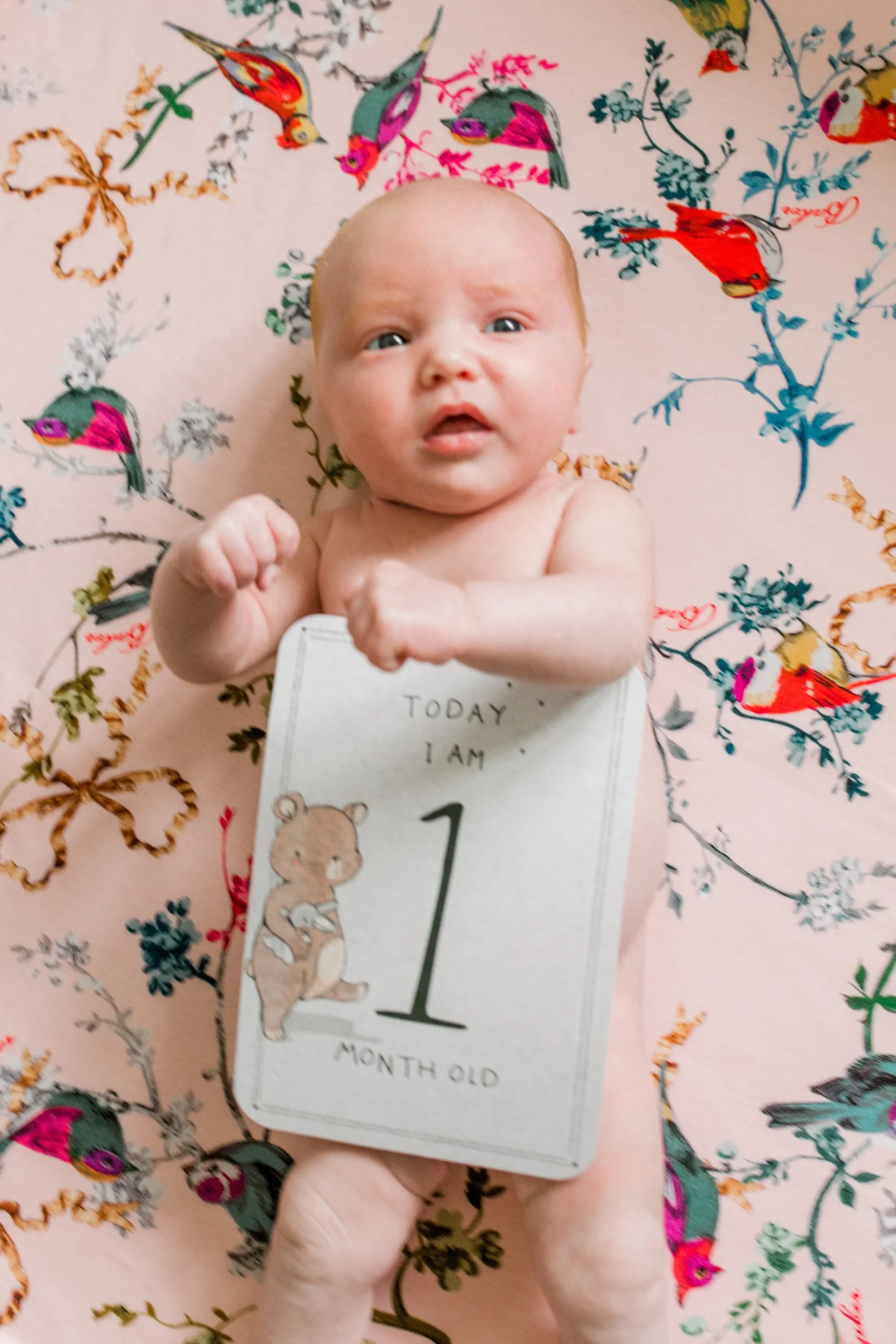 A baby lying on a pink blanket with colorful bird and floral patterns, holding a card indicating they are 1 month old.