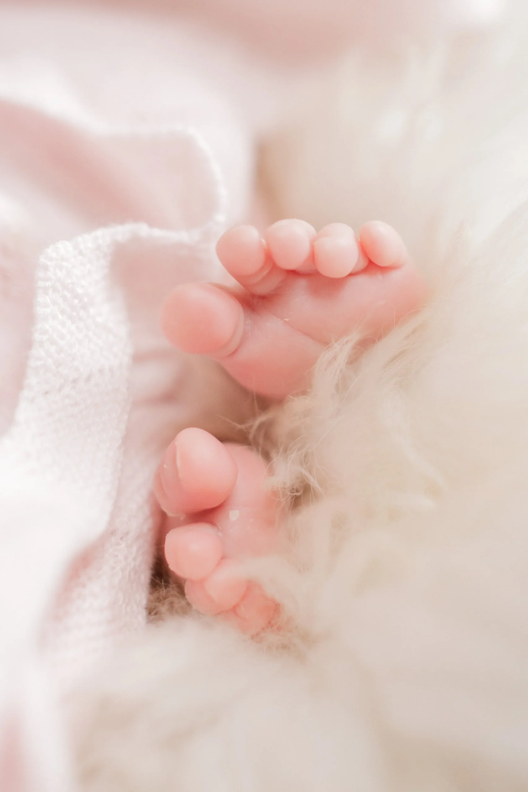 Close-up of a newborn baby's tiny hand gripping a white fluffy blanket.