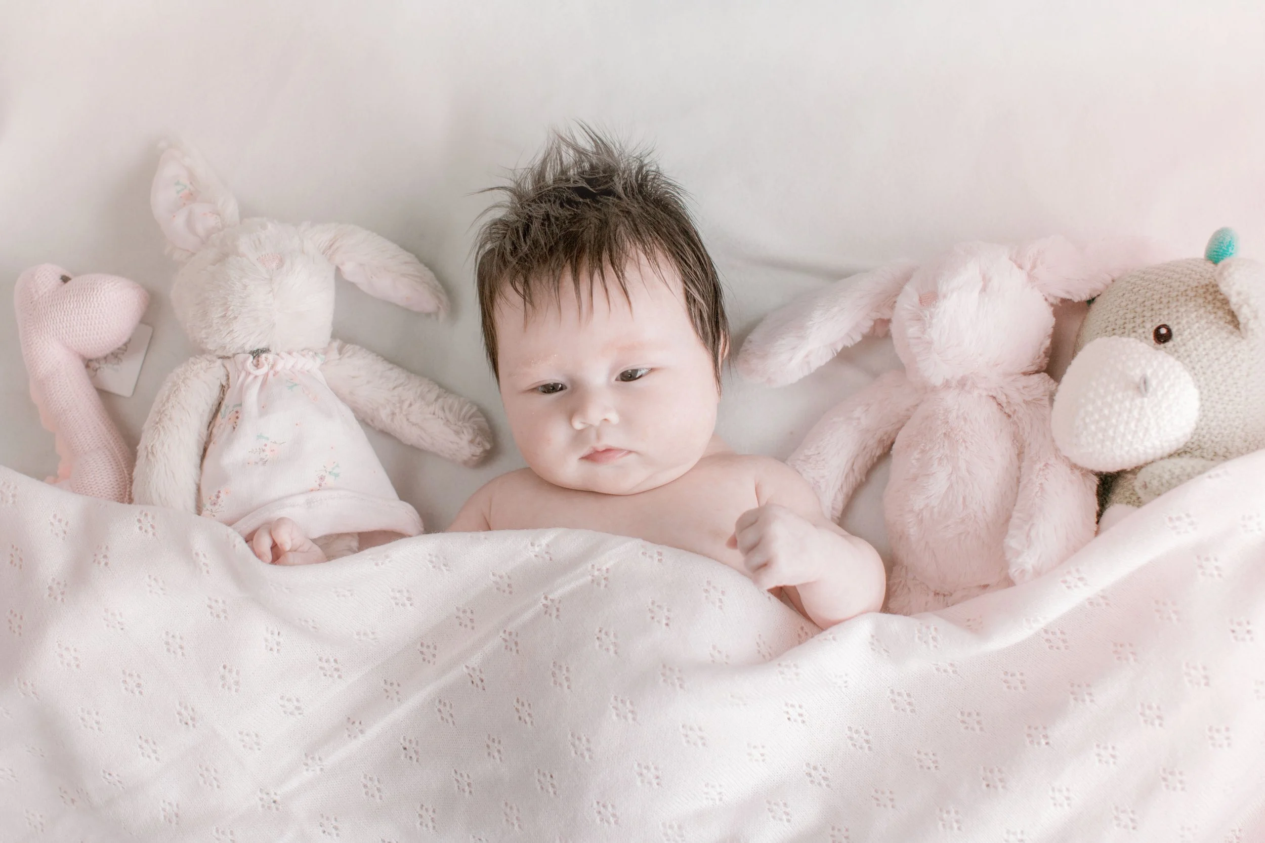 A baby with wet, dark hair lying in a bed with pink stuffed animals, including a bunny and a horse.